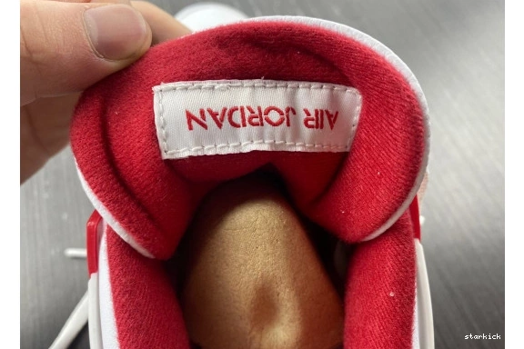 308497-106 Alternate Retro 308497-106 4 89 Jordan 0905